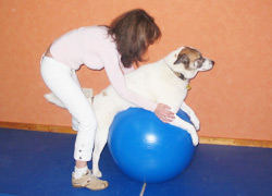 Physioball