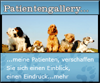 Patientengallery